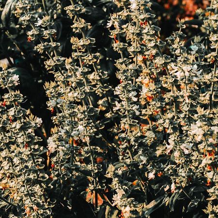 Gospodarstwo Agroturystyczne Anielin Okonek エクステリア 写真