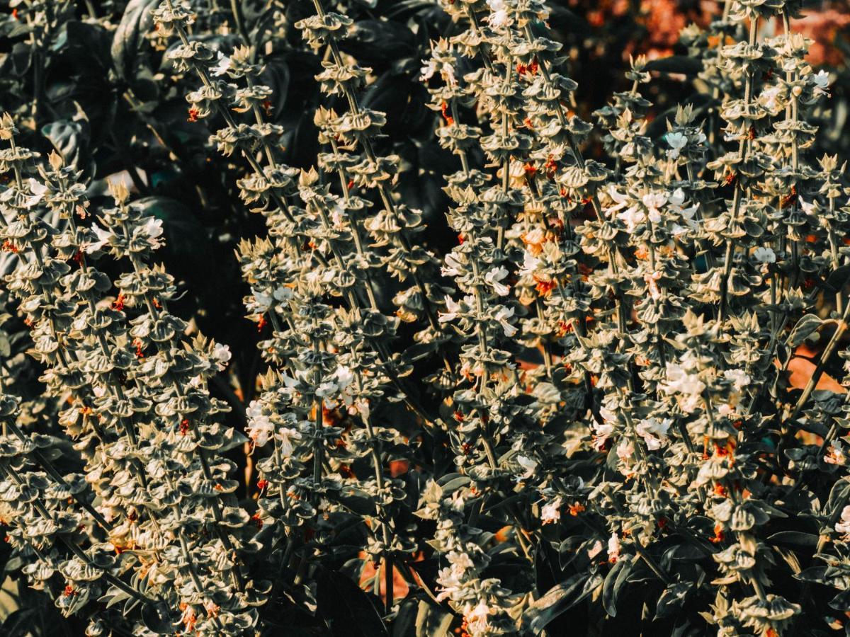 Gospodarstwo Agroturystyczne Anielin Okonek エクステリア 写真